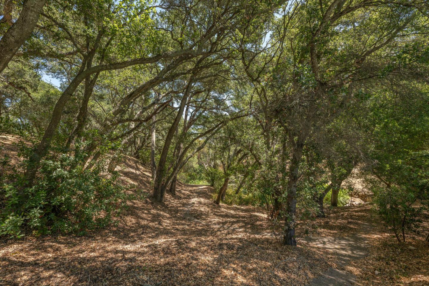 Detail Gallery Image 65 of 91 For 333 Raymundo Dr, Woodside,  CA 94062 - 4 Beds | 4/1 Baths