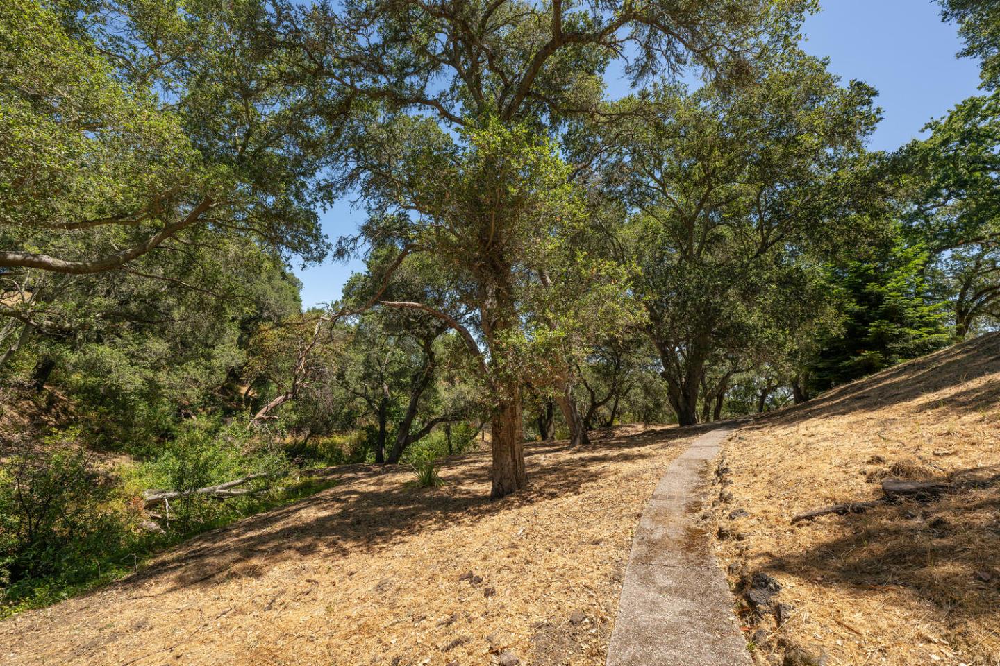 Detail Gallery Image 66 of 91 For 333 Raymundo Dr, Woodside,  CA 94062 - 4 Beds | 4/1 Baths