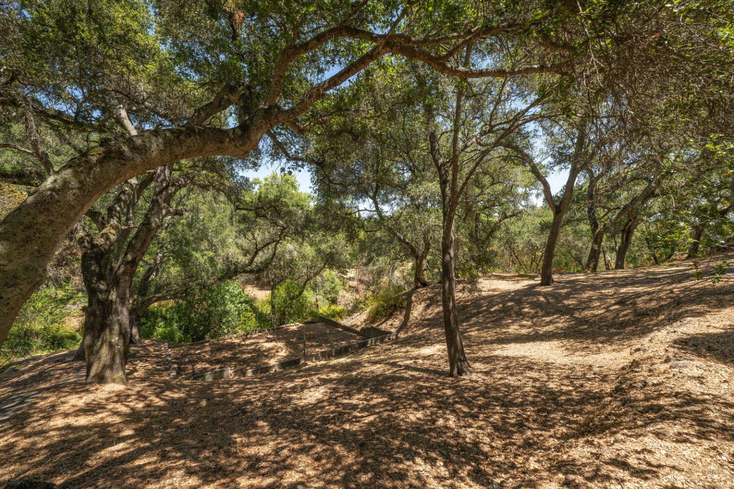Detail Gallery Image 67 of 91 For 333 Raymundo Dr, Woodside,  CA 94062 - 4 Beds | 4/1 Baths
