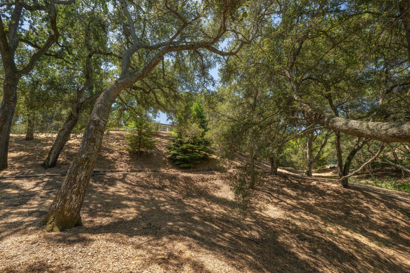 Detail Gallery Image 68 of 91 For 333 Raymundo Dr, Woodside,  CA 94062 - 4 Beds | 4/1 Baths