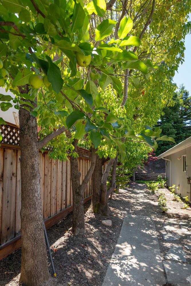 Detail Gallery Image 32 of 39 For 2721 Comstock Cir, Belmont,  CA 94002 - 5 Beds | 3/1 Baths
