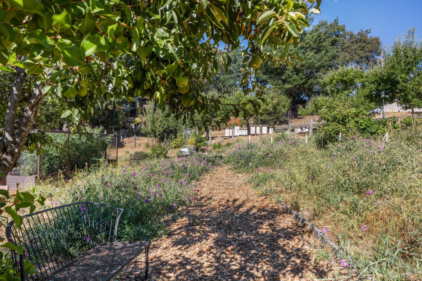 Detail Gallery Image 57 of 64 For 19156 Old Vineyard Rd, Los Gatos,  CA 95033 - 4 Beds | 3 Baths