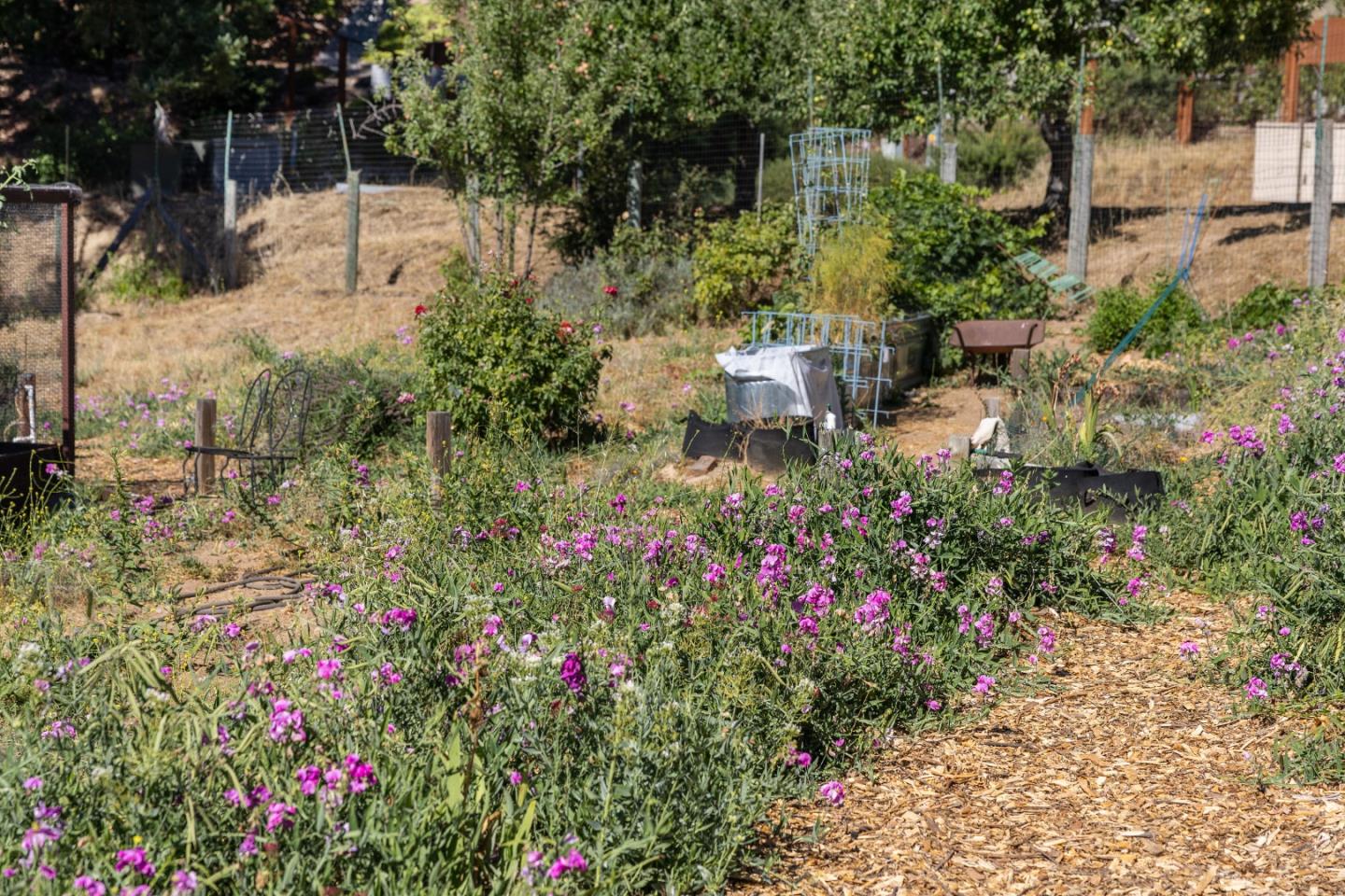 Detail Gallery Image 58 of 64 For 19156 Old Vineyard Rd, Los Gatos,  CA 95033 - 4 Beds | 3 Baths