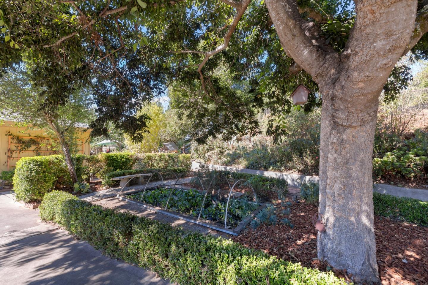 Detail Gallery Image 24 of 29 For 1970 Cox Rd, Aptos,  CA 95003 - 4 Beds | 2/1 Baths