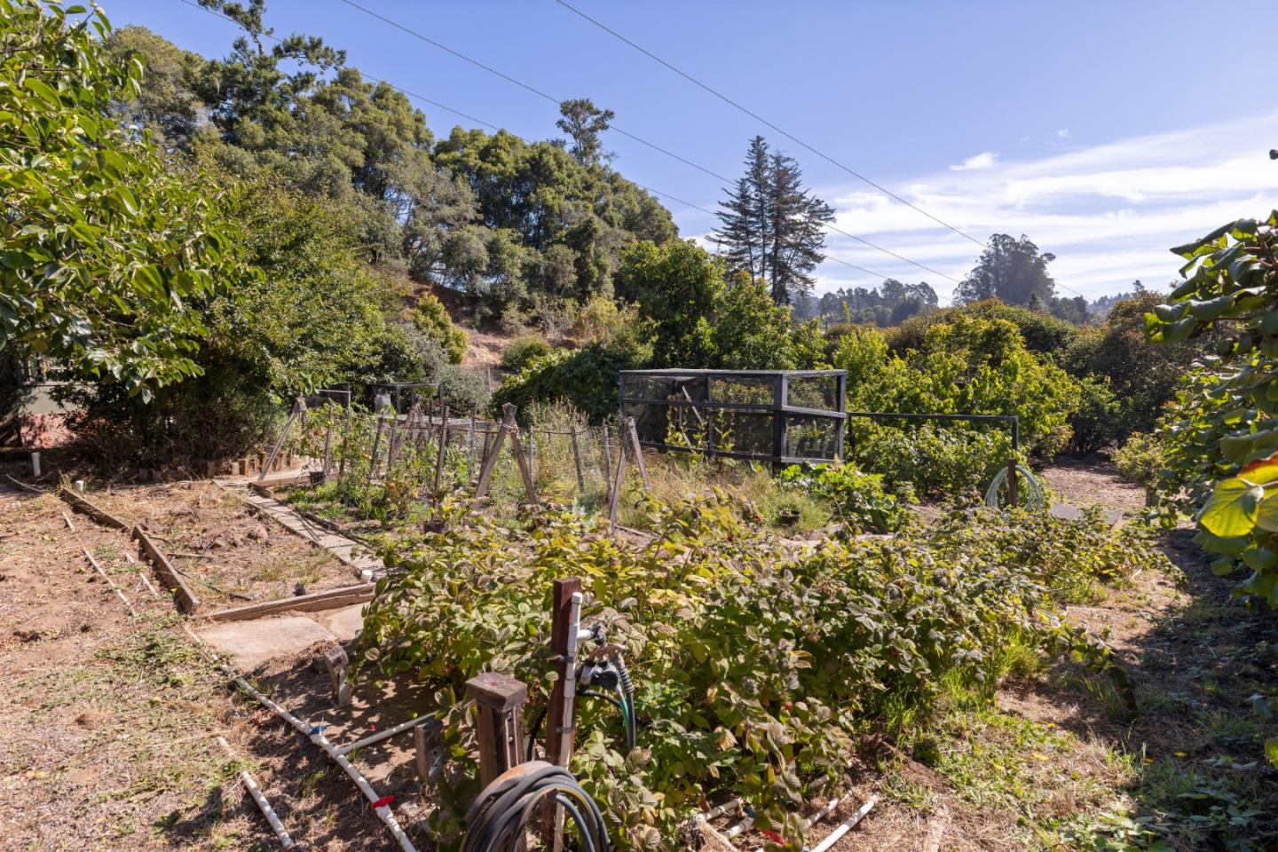 Detail Gallery Image 28 of 29 For 1970 Cox Rd, Aptos,  CA 95003 - 4 Beds | 2/1 Baths