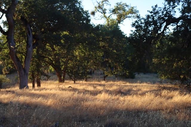 Detail Gallery Image 5 of 8 For 0 Lambert Flat Rd, Carmel Valley,  CA 93924 - – Beds | – Baths
