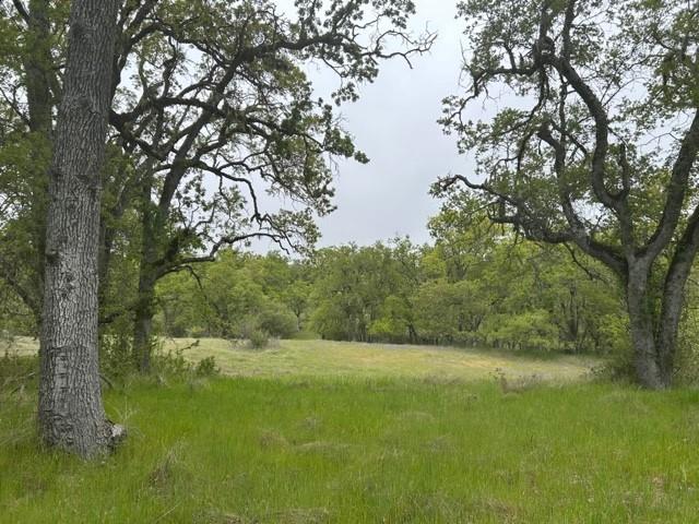 Detail Gallery Image 2 of 8 For 0 Lambert Flat Rd, Carmel Valley,  CA 93924 - – Beds | – Baths