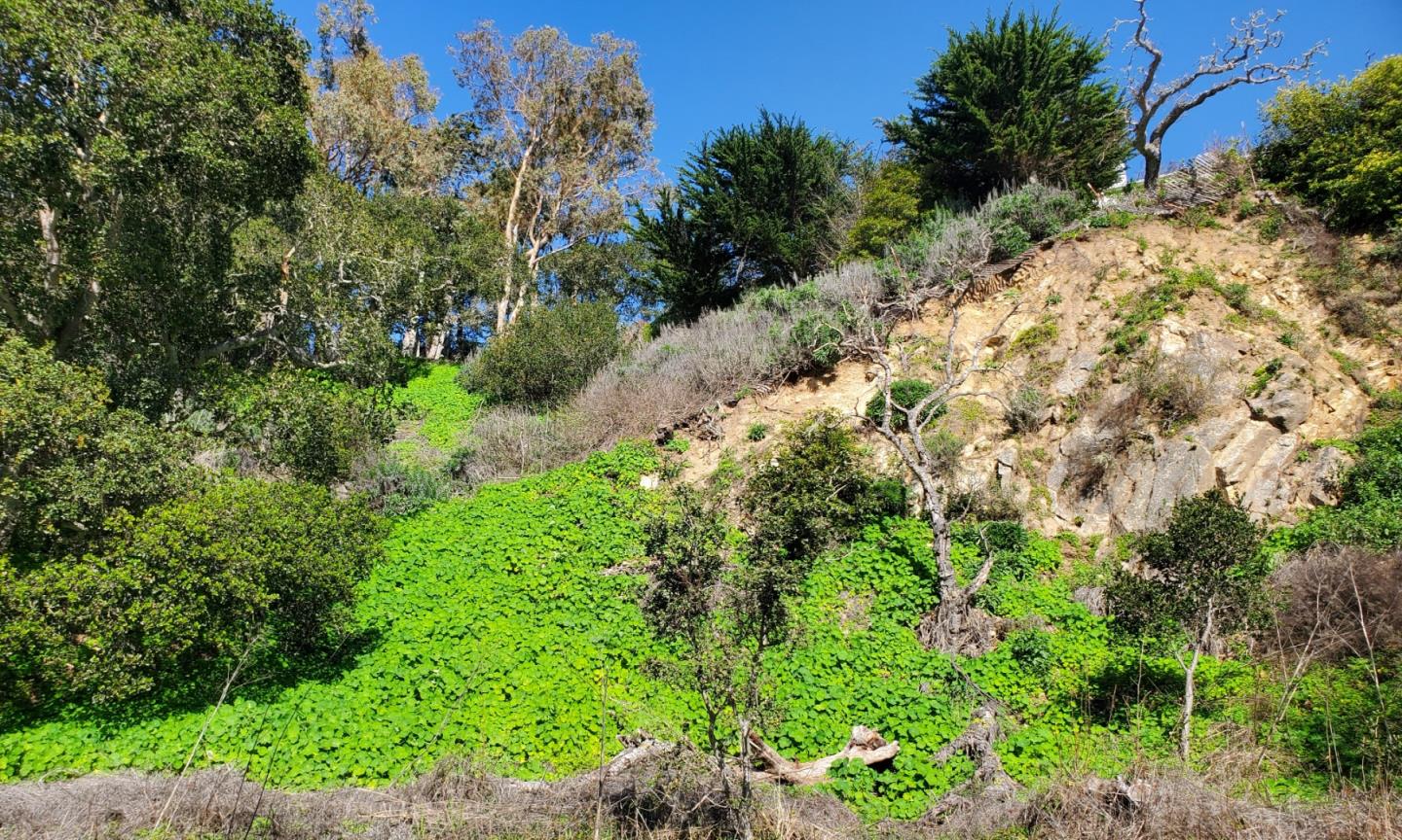Detail Gallery Image 43 of 47 For 3528 Lazarro Dr, Carmel,  CA 93923 - – Beds | – Baths