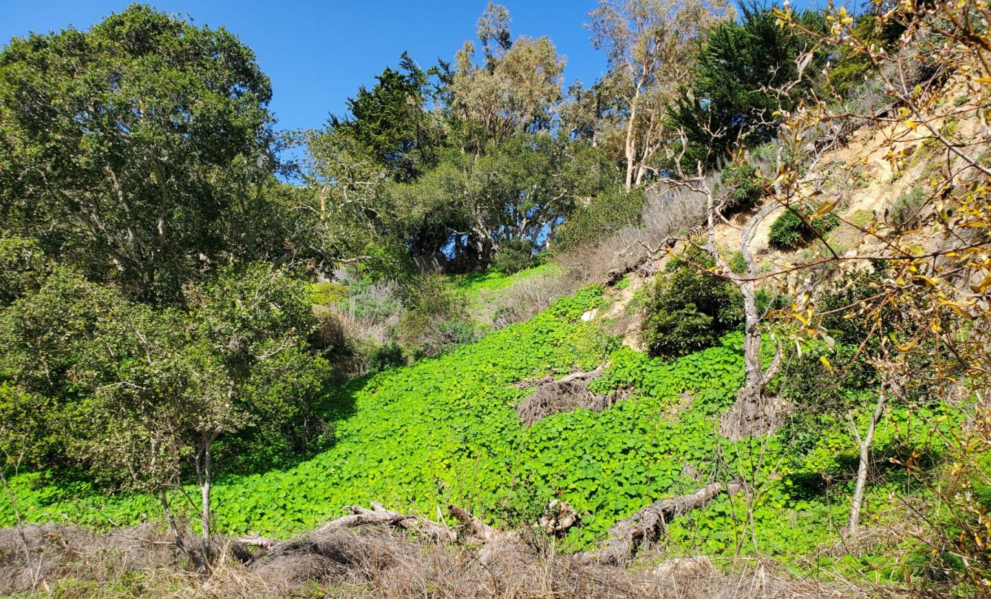 Detail Gallery Image 47 of 47 For 3528 Lazarro Dr, Carmel,  CA 93923 - – Beds | – Baths