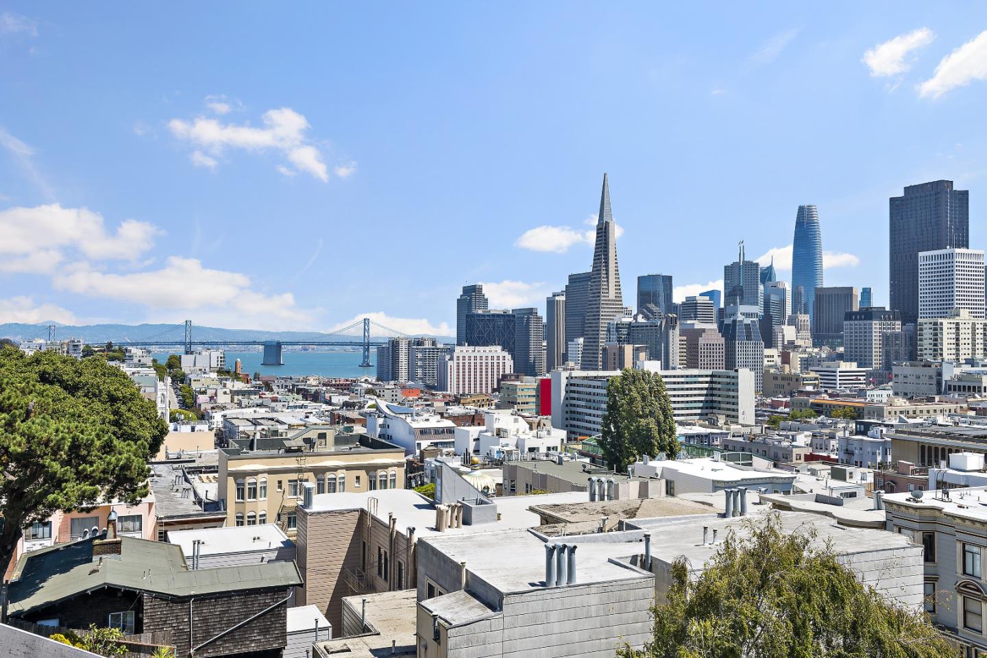 Detail Gallery Image 16 of 31 For 950-954 Vallejo St, San Francisco,  CA 94133 - – Beds | – Baths