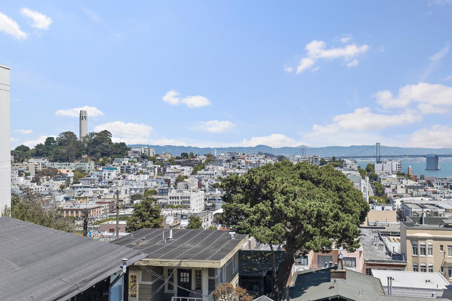 Detail Gallery Image 24 of 31 For 950-954 Vallejo St, San Francisco,  CA 94133 - – Beds | – Baths