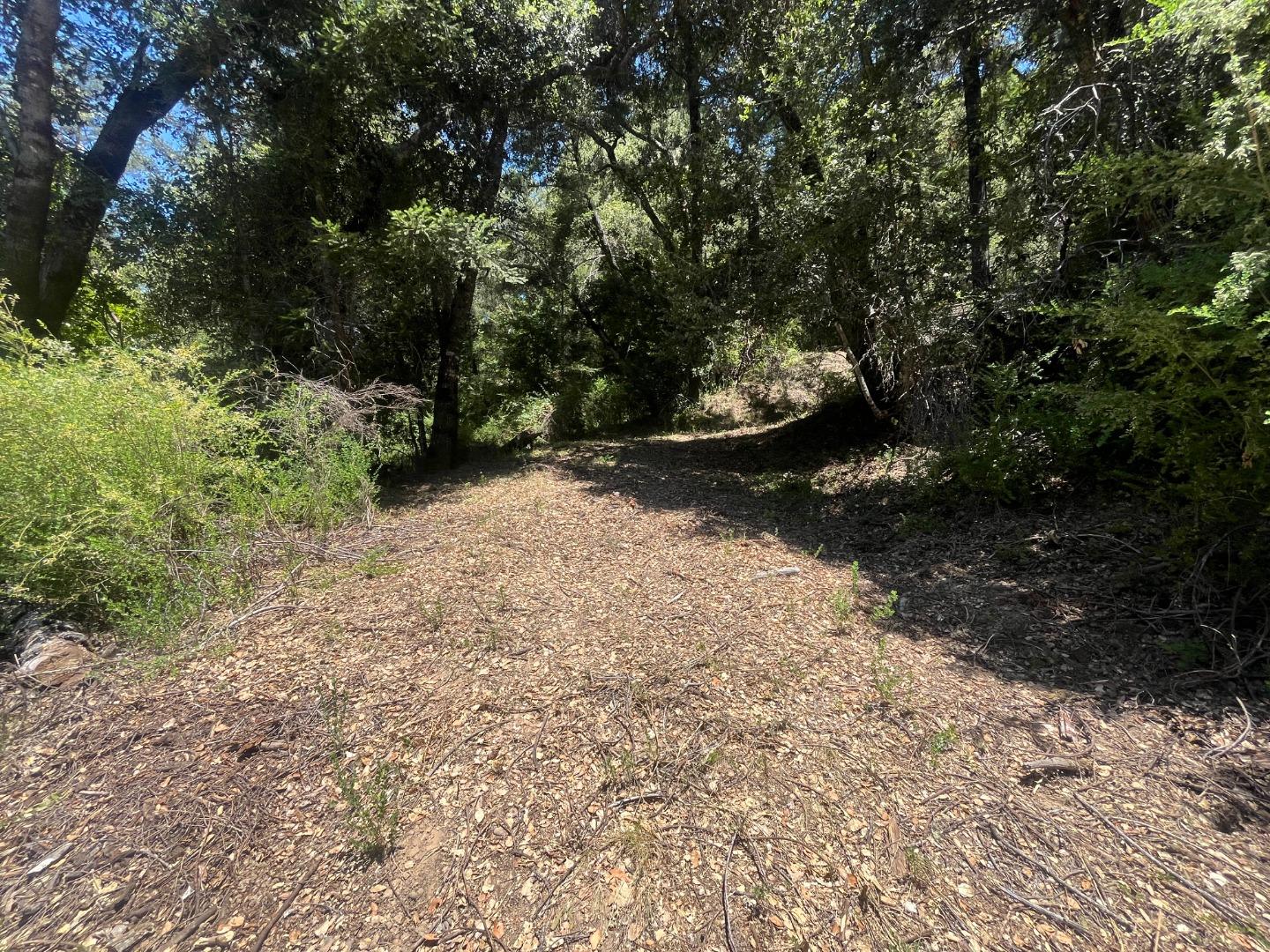 Detail Gallery Image 23 of 49 For 0 Deer Creek (Lot 21), Boulder Creek,  CA 95006 - – Beds | – Baths