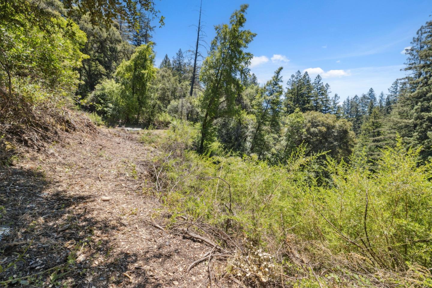 Detail Gallery Image 27 of 49 For 0 Deer Creek (Lot 21), Boulder Creek,  CA 95006 - – Beds | – Baths