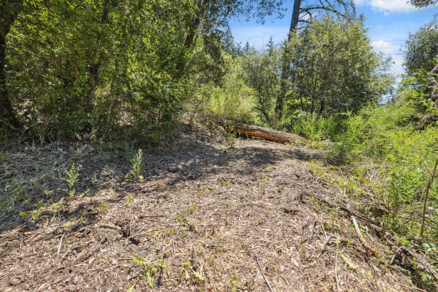 Detail Gallery Image 28 of 49 For 0 Deer Creek (Lot 21), Boulder Creek,  CA 95006 - – Beds | – Baths