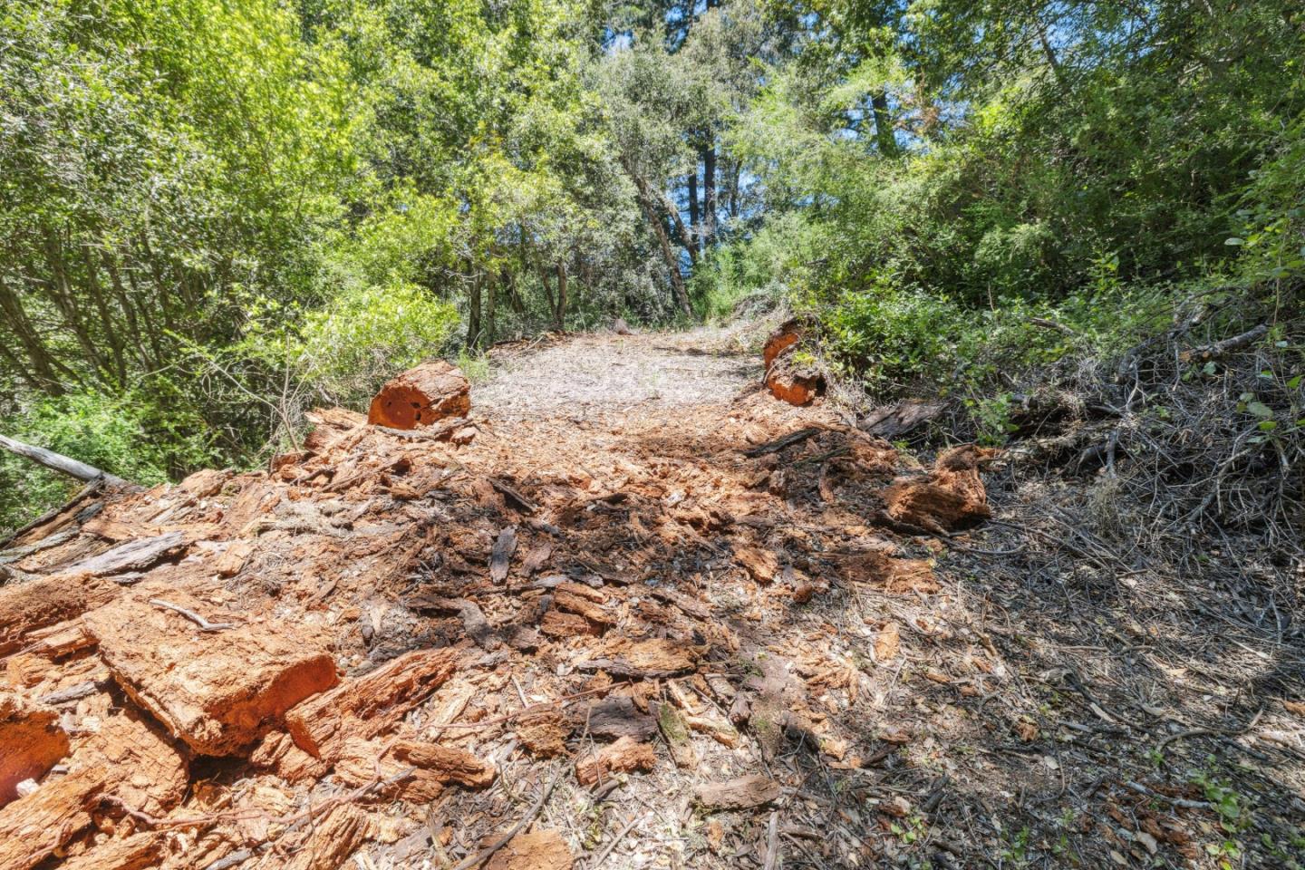 Detail Gallery Image 36 of 49 For 0 Deer Creek (Lot 21), Boulder Creek,  CA 95006 - – Beds | – Baths