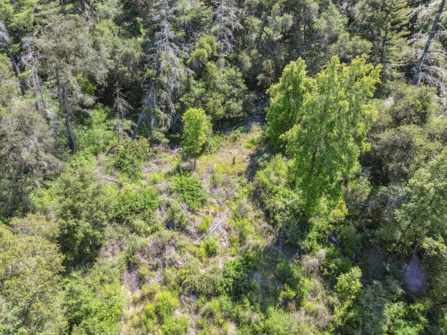 Detail Gallery Image 45 of 49 For 0 Deer Creek (Lot 21), Boulder Creek,  CA 95006 - – Beds | – Baths