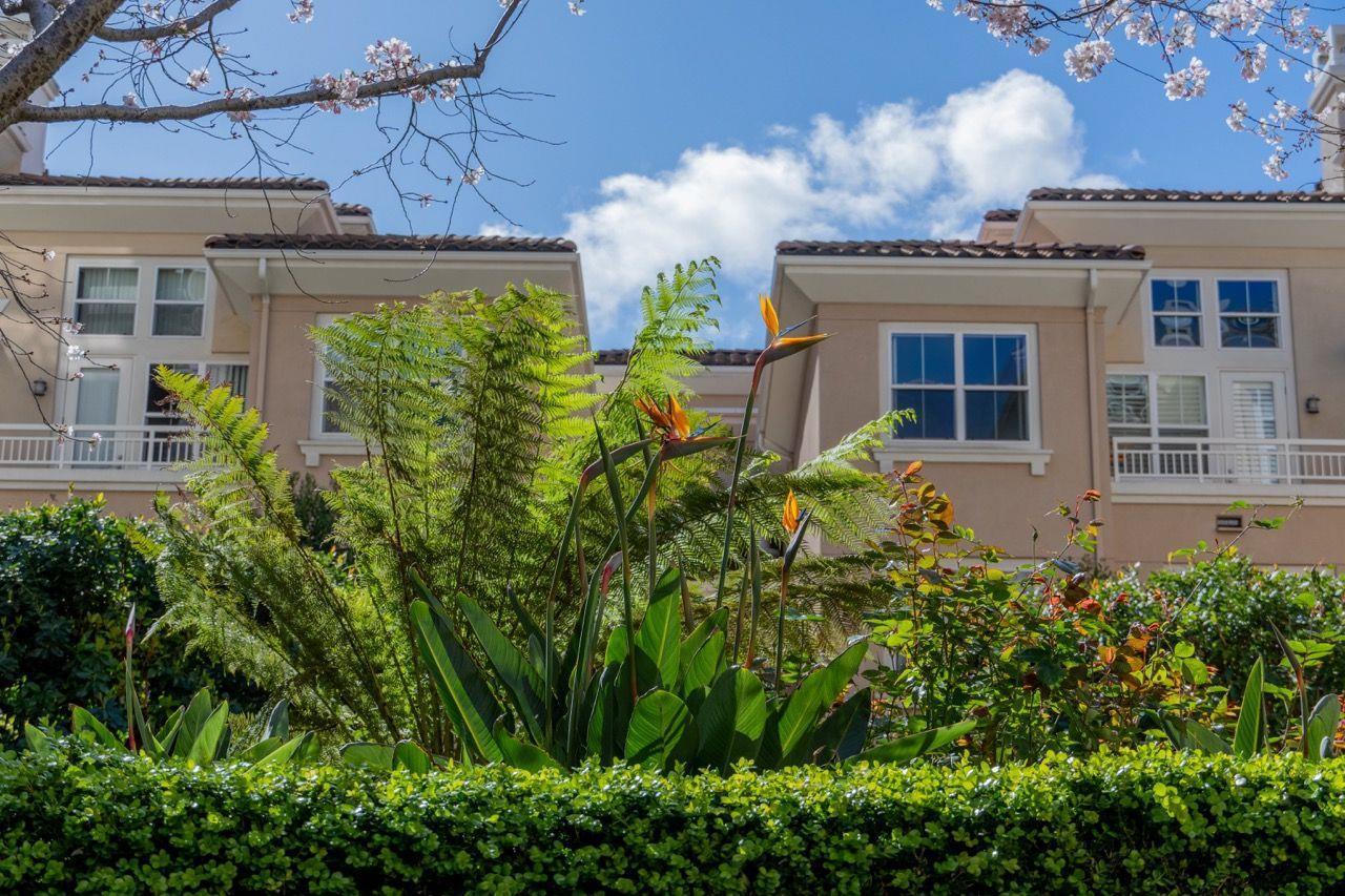 Detail Gallery Image 37 of 47 For 20488 Stevens Creek Blvd #1118,  Cupertino,  CA 95014 - 1 Beds | 1 Baths
