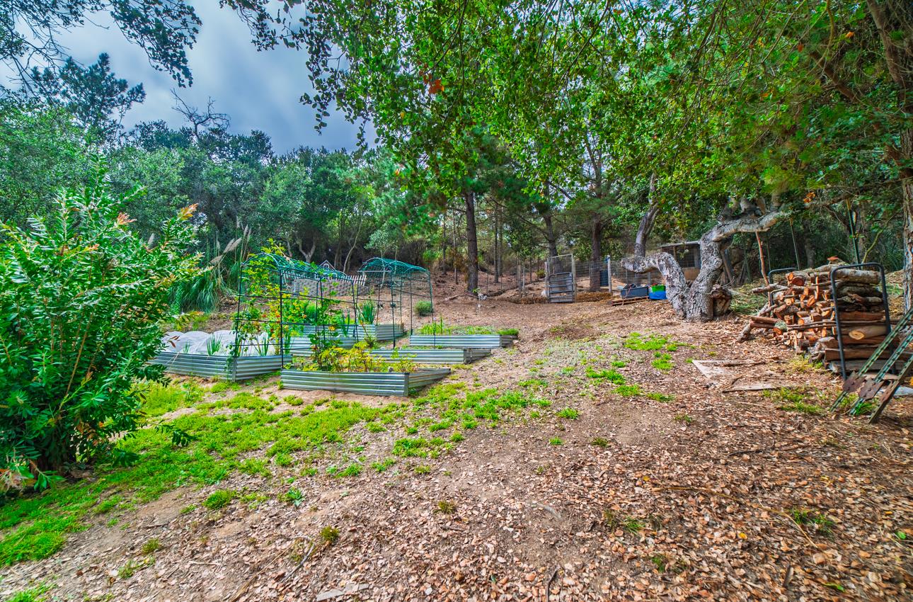 Detail Gallery Image 43 of 52 For 2646 El Camino Real, Salinas,  CA 93907 - 5 Beds | 2/1 Baths