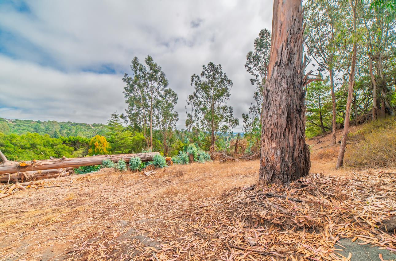 Detail Gallery Image 51 of 52 For 2646 El Camino Real, Salinas,  CA 93907 - 5 Beds | 2/1 Baths