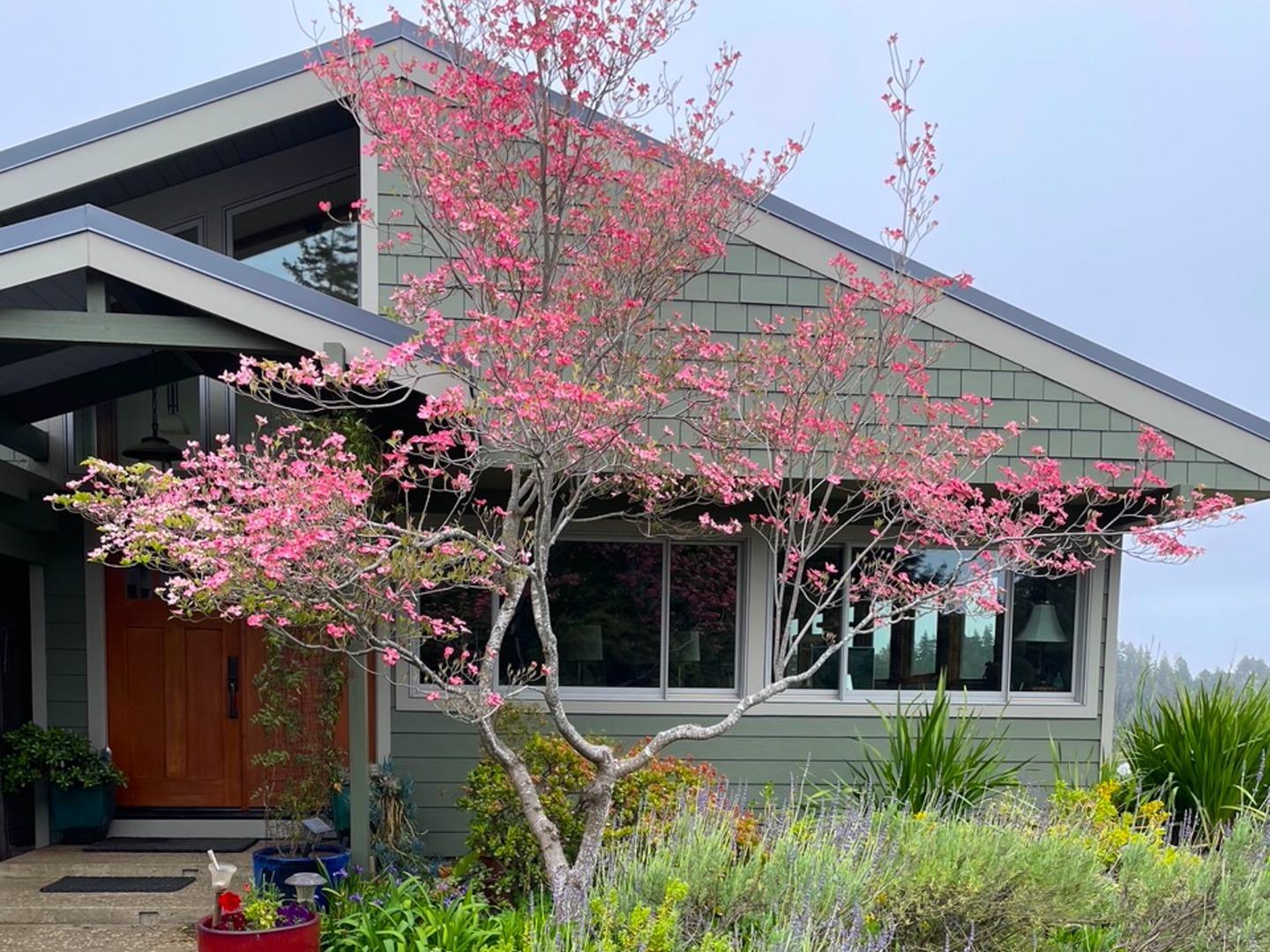 Detail Gallery Image 7 of 94 For 1584 Tindall Ranch Rd, Corralitos,  CA 95076 - 2 Beds | 1/1 Baths