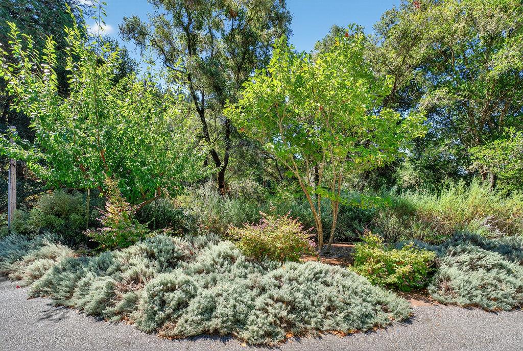 Detail Gallery Image 56 of 59 For 1901 Glenwood Dr, Scotts Valley,  CA 95066 - 3 Beds | 2/1 Baths