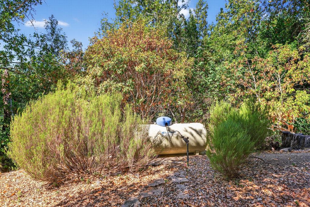 Detail Gallery Image 58 of 59 For 1901 Glenwood Dr, Scotts Valley,  CA 95066 - 3 Beds | 2/1 Baths