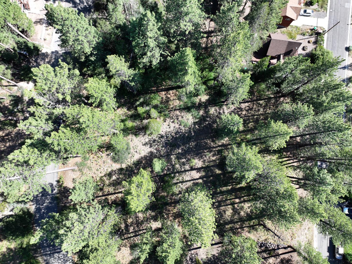 Detail Gallery Image 16 of 27 For 881 Onnontioga St, South Lake Tahoe,  CA 96150 - – Beds | – Baths