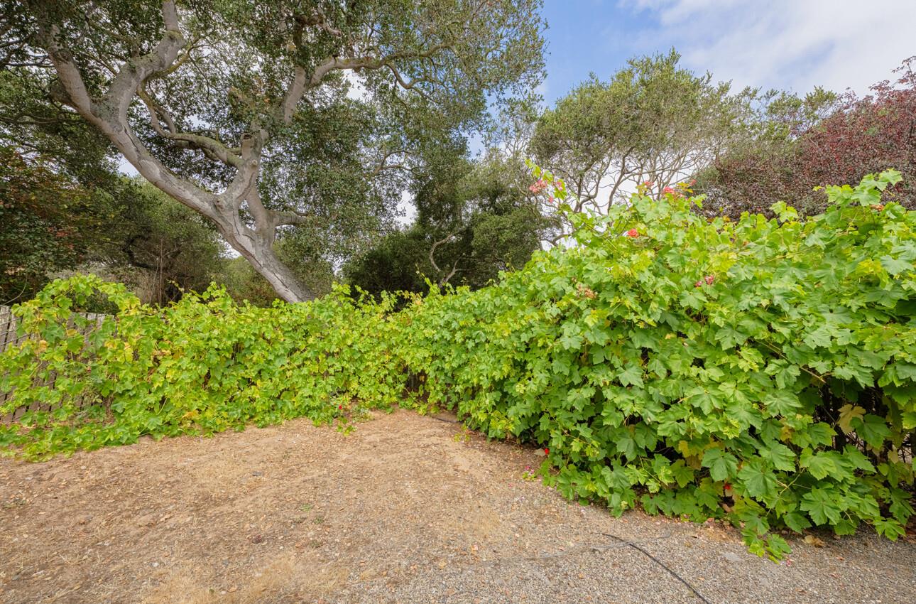 Detail Gallery Image 31 of 39 For 16566 Meridian Rd, Salinas,  CA 93907 - 2 Beds | 2 Baths