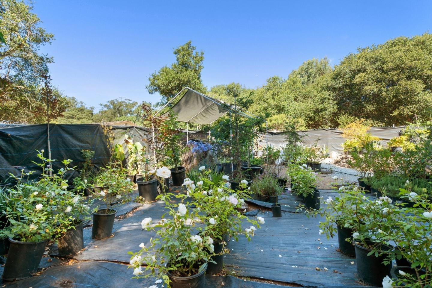 Detail Gallery Image 65 of 80 For 19125 Marjorie Rd, Salinas,  CA 93907 - 2 Beds | 2 Baths