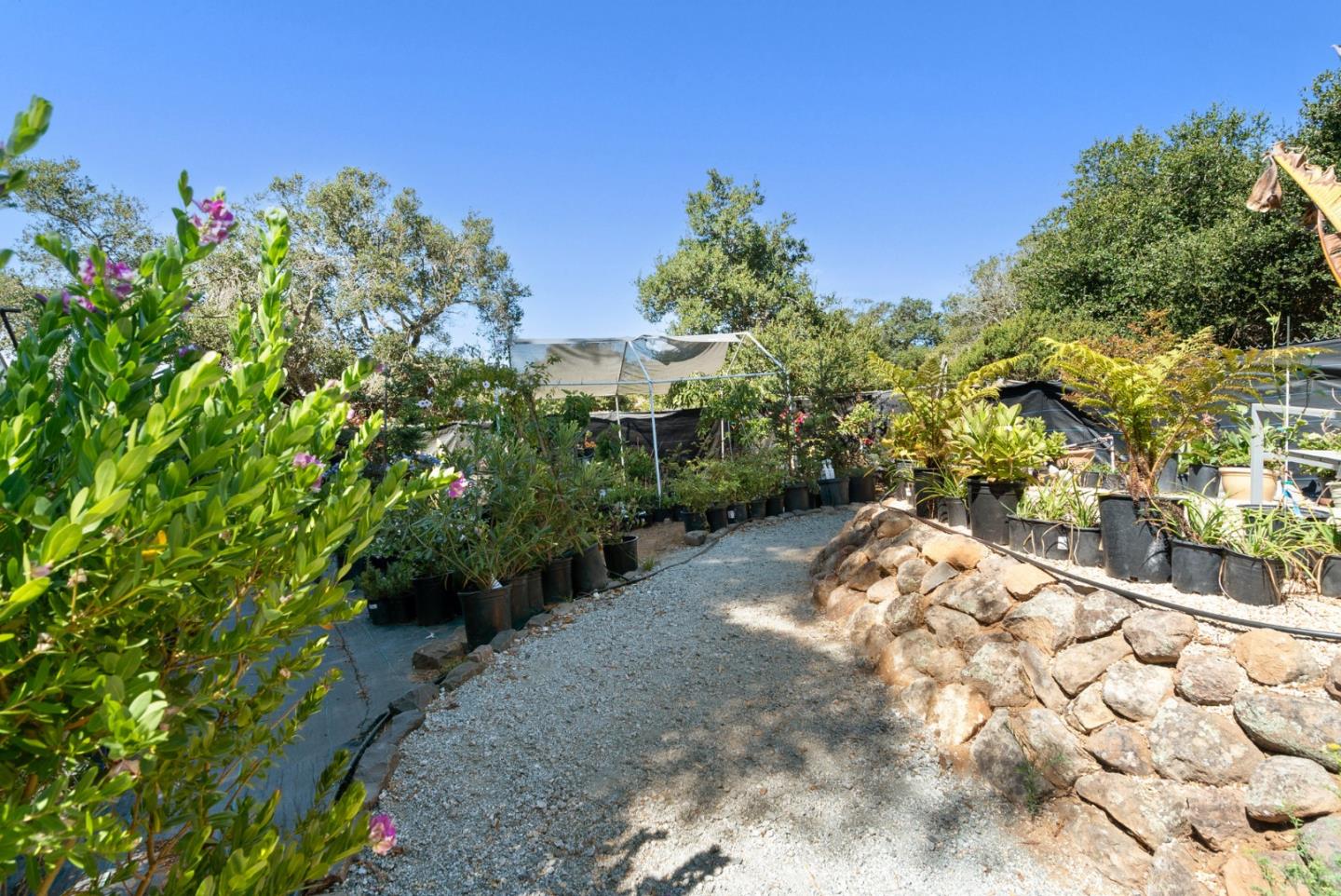 Detail Gallery Image 67 of 80 For 19125 Marjorie Rd, Salinas,  CA 93907 - 2 Beds | 2 Baths