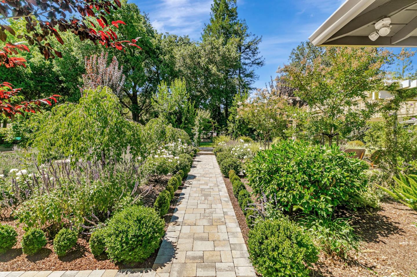 Detail Gallery Image 56 of 109 For 19273 Citrus Ln, Saratoga,  CA 95070 - 5 Beds | 3/1 Baths
