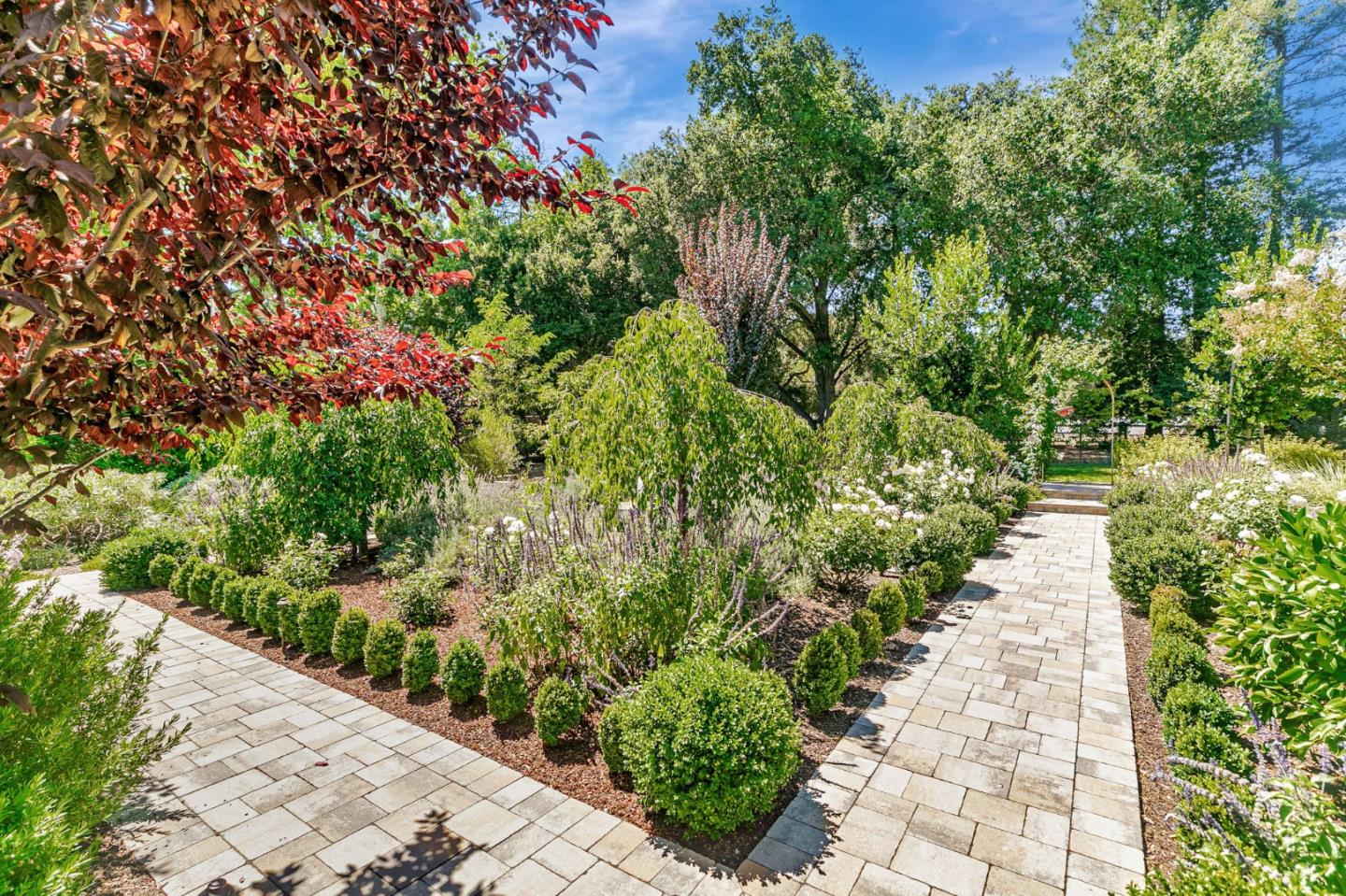 Detail Gallery Image 57 of 109 For 19273 Citrus Ln, Saratoga,  CA 95070 - 5 Beds | 3/1 Baths