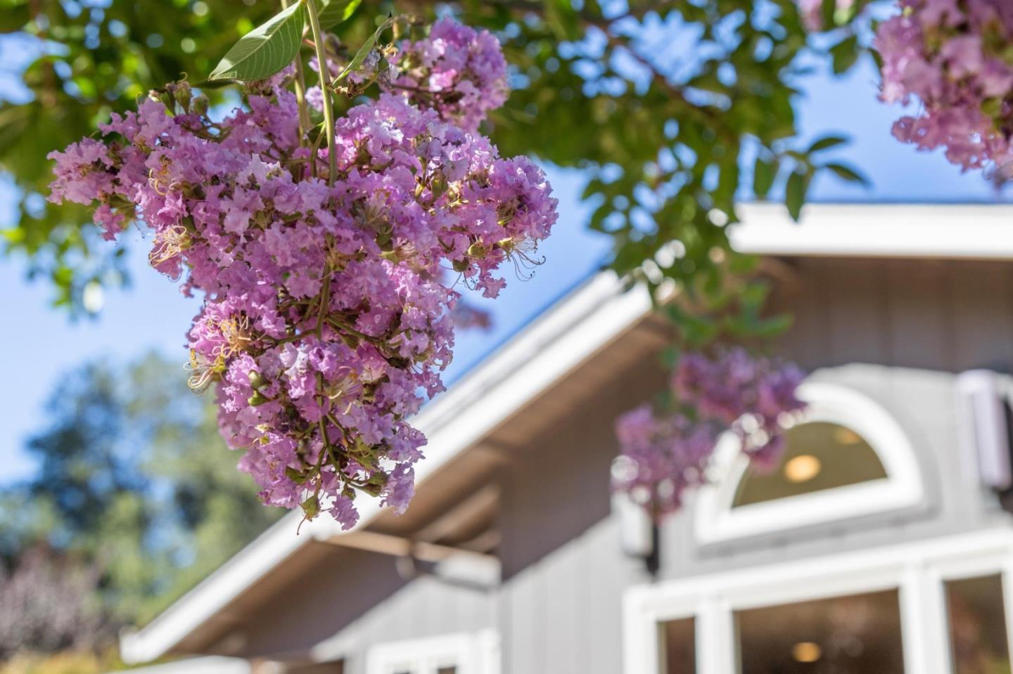 Detail Gallery Image 71 of 109 For 19273 Citrus Ln, Saratoga,  CA 95070 - 5 Beds | 3/1 Baths