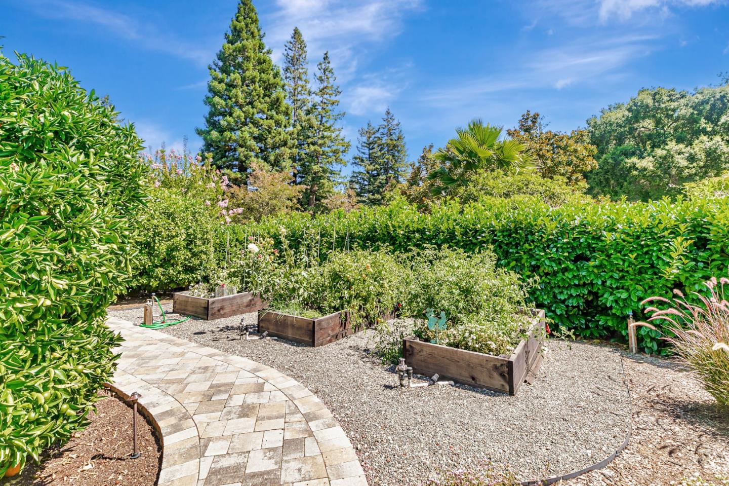 Detail Gallery Image 81 of 109 For 19273 Citrus Ln, Saratoga,  CA 95070 - 5 Beds | 3/1 Baths