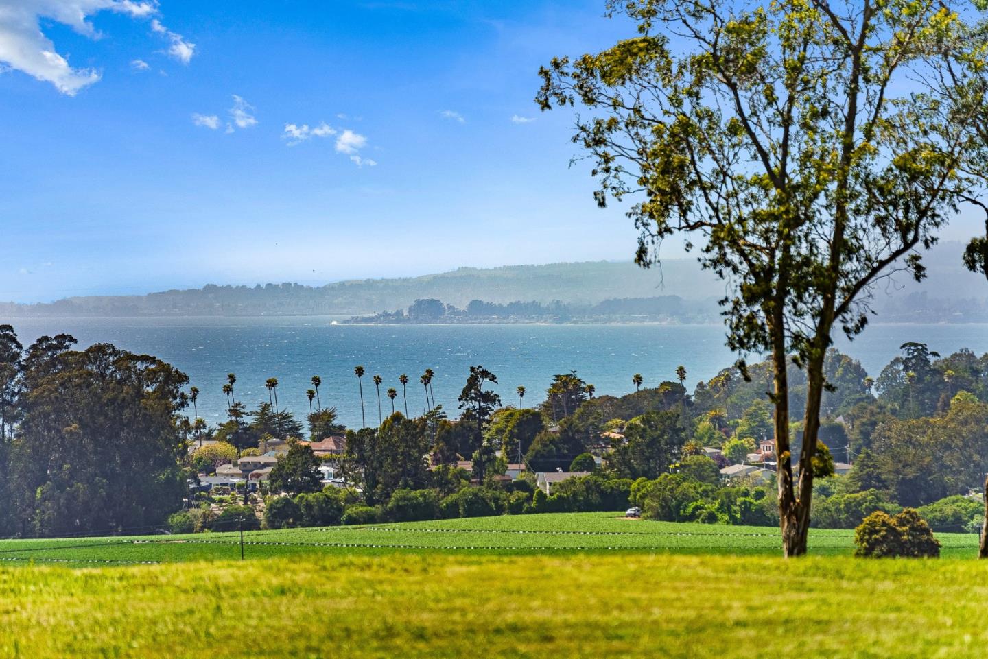 Detail Gallery Image 31 of 99 For 145 Coy Dr, La Selva Beach,  CA 95076 - 4 Beds | 3/1 Baths