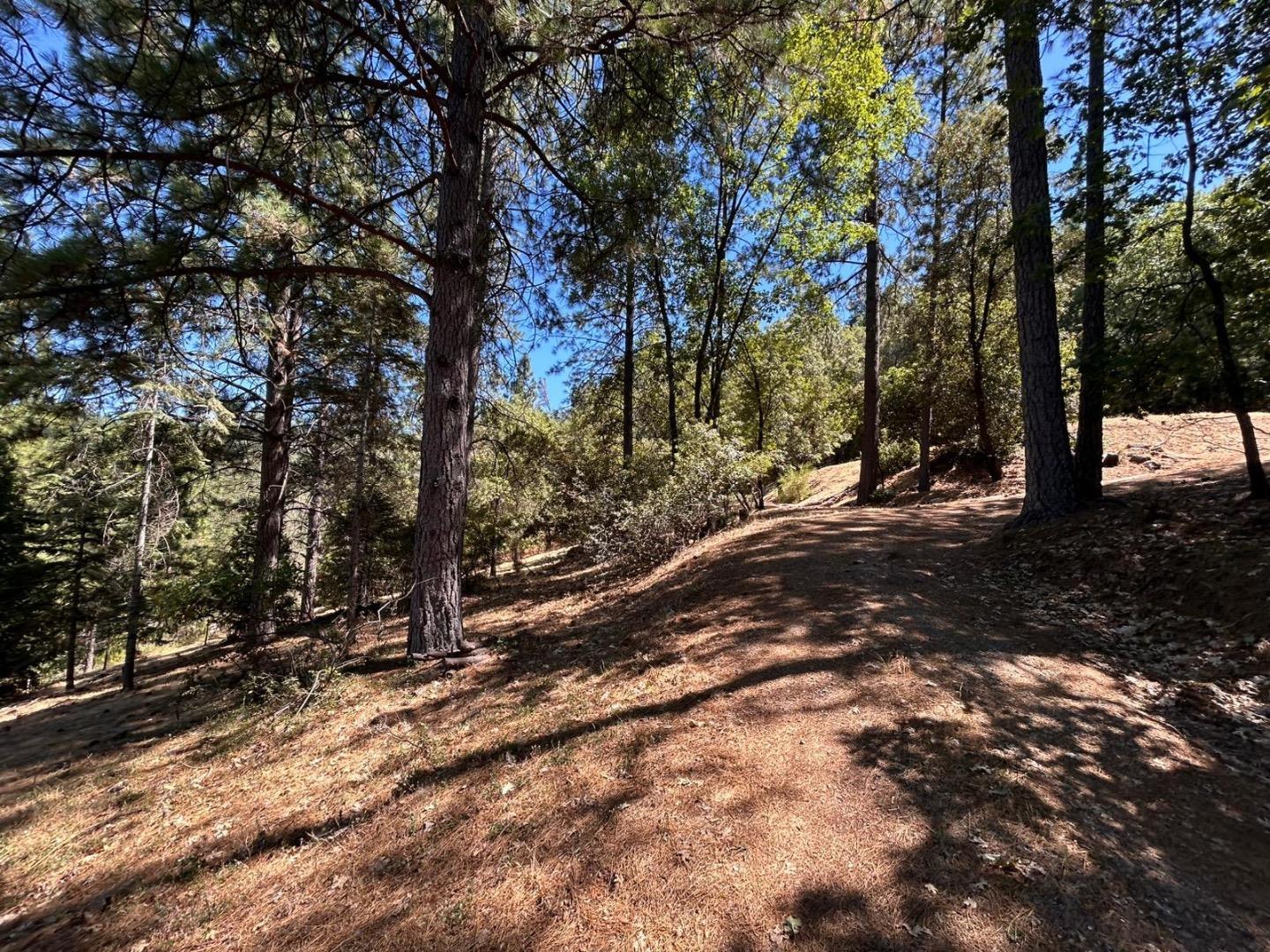 Detail Gallery Image 10 of 11 For 1720 Jacobs Way, Placerville,  CA 95667 - – Beds | – Baths