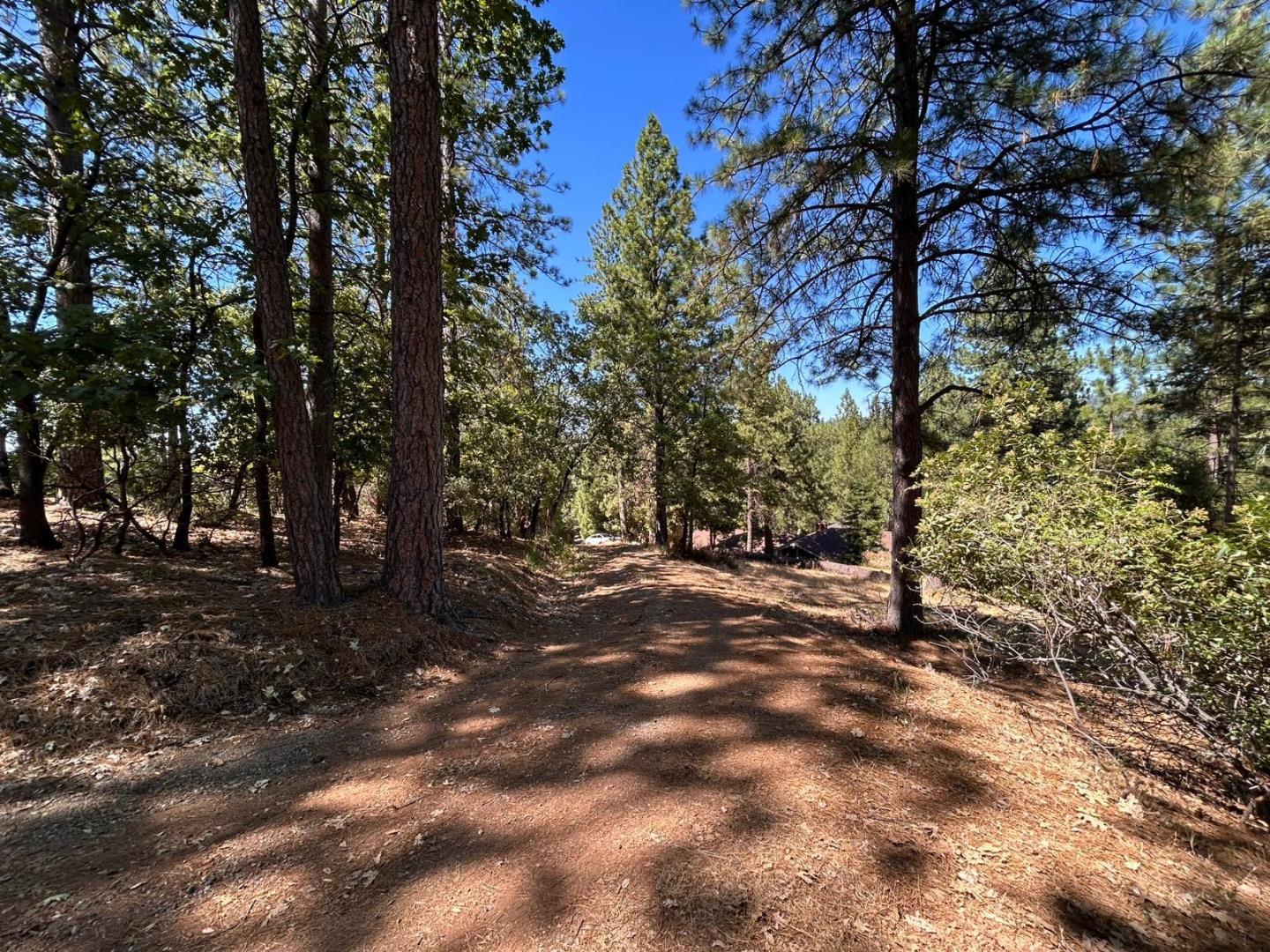 Detail Gallery Image 11 of 11 For 1720 Jacobs Way, Placerville,  CA 95667 - – Beds | – Baths