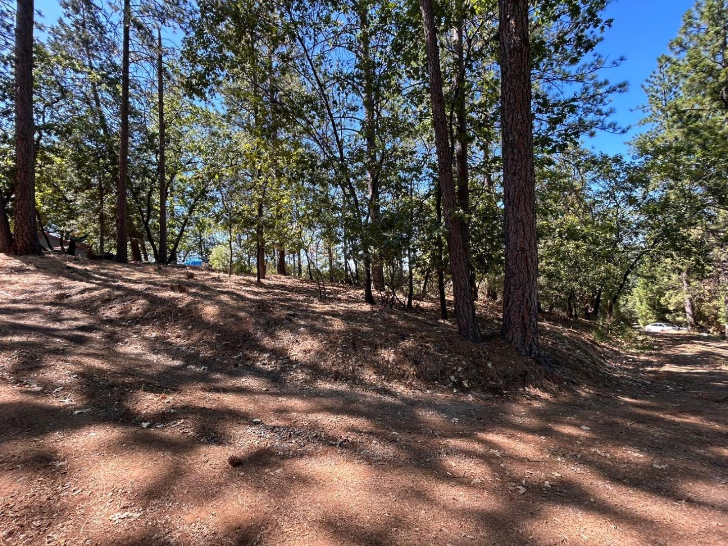 Detail Gallery Image 12 of 12 For 1720 Jacobs Way, Placerville,  CA 95667 - – Beds | – Baths