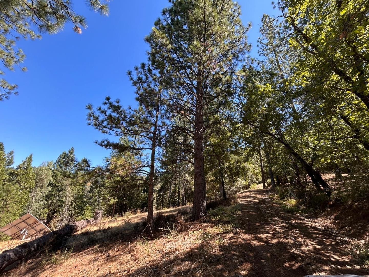 Detail Gallery Image 4 of 11 For 1720 Jacobs Way, Placerville,  CA 95667 - – Beds | – Baths