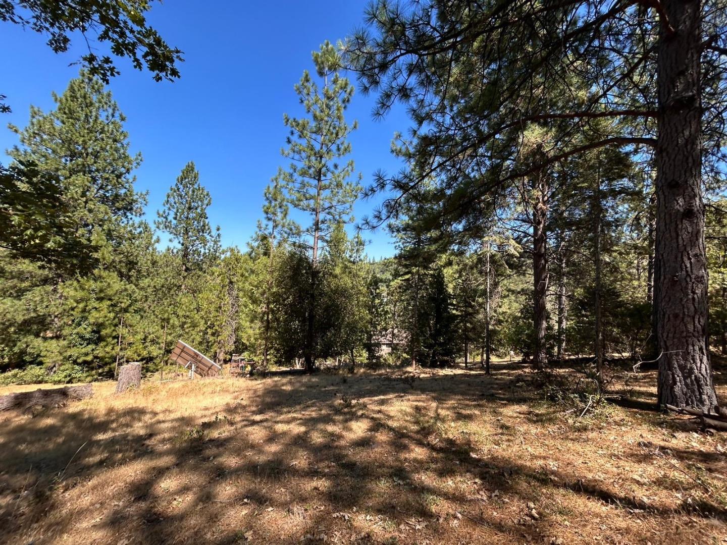 Detail Gallery Image 5 of 11 For 1720 Jacobs Way, Placerville,  CA 95667 - – Beds | – Baths