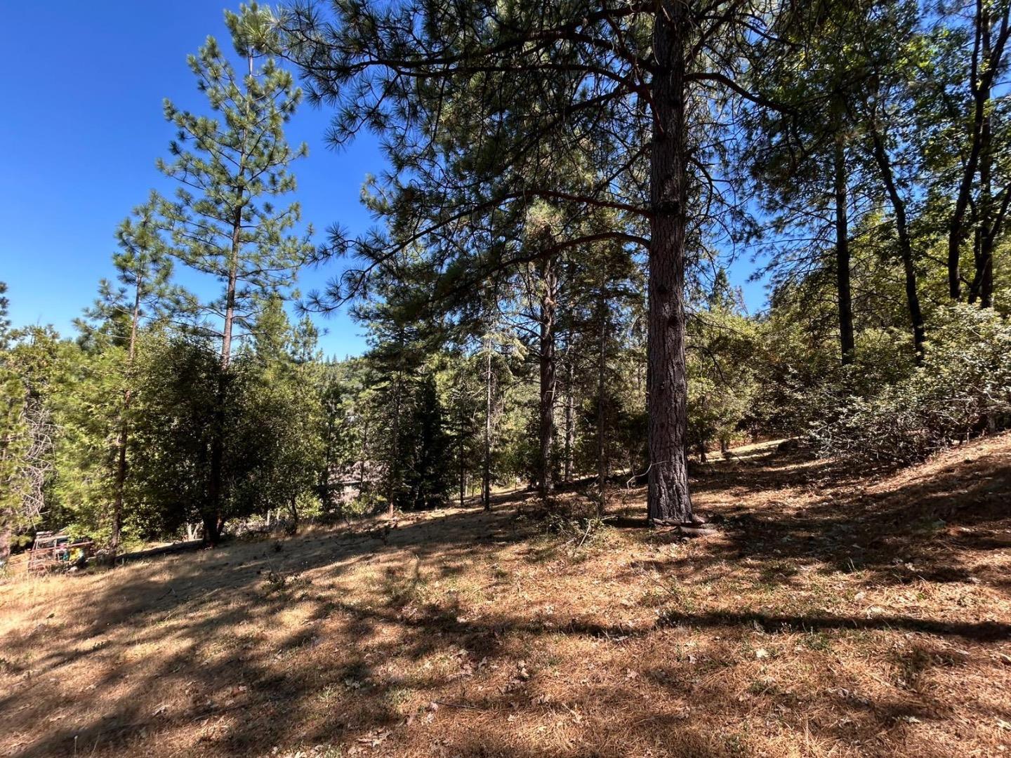 Detail Gallery Image 8 of 11 For 1720 Jacobs Way, Placerville,  CA 95667 - – Beds | – Baths