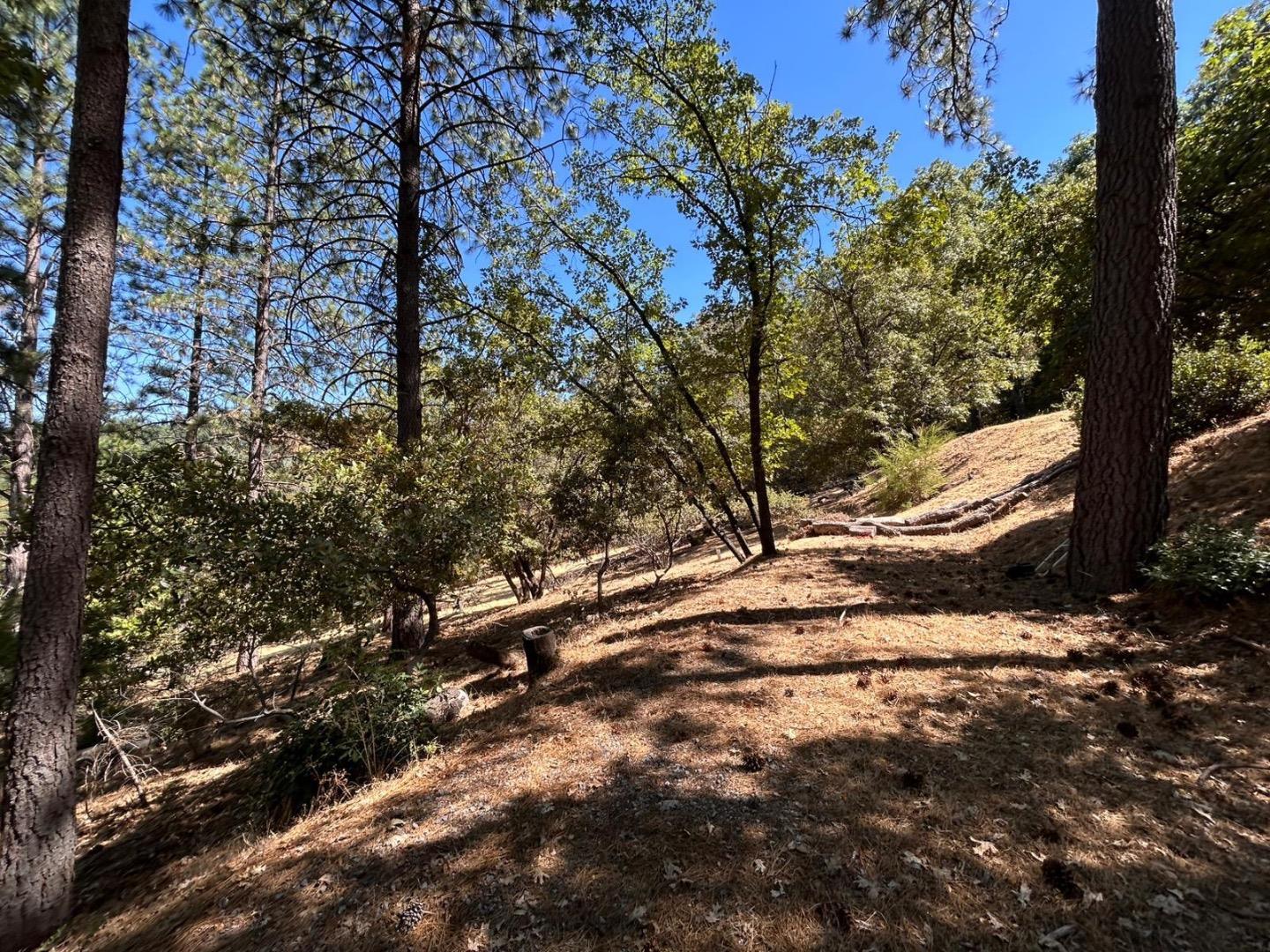 Detail Gallery Image 9 of 11 For 1720 Jacobs Way, Placerville,  CA 95667 - – Beds | – Baths