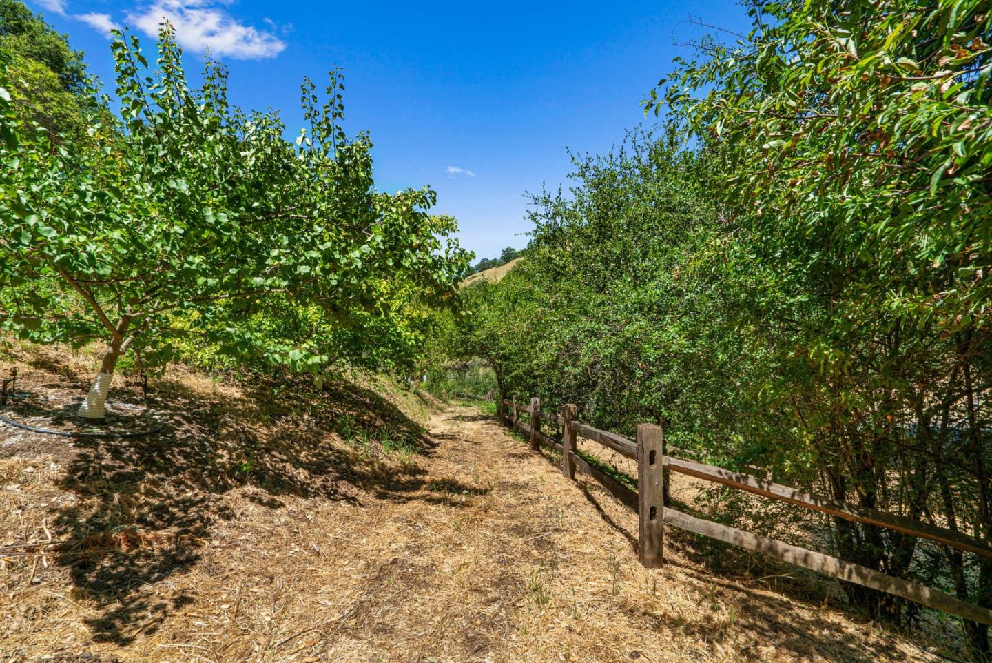 Detail Gallery Image 6 of 7 For 0 Forrester Rd, Los Gatos,  CA 95032 - – Beds | – Baths
