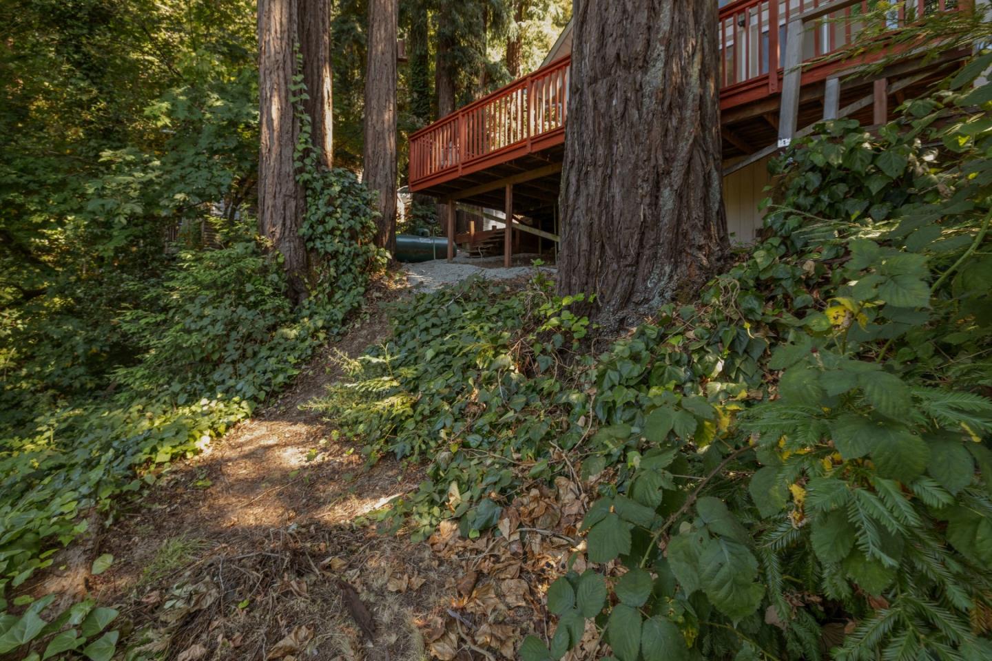 Detail Gallery Image 65 of 73 For 325 Fireside Rd, Boulder Creek,  CA 95006 - 2 Beds | 2 Baths