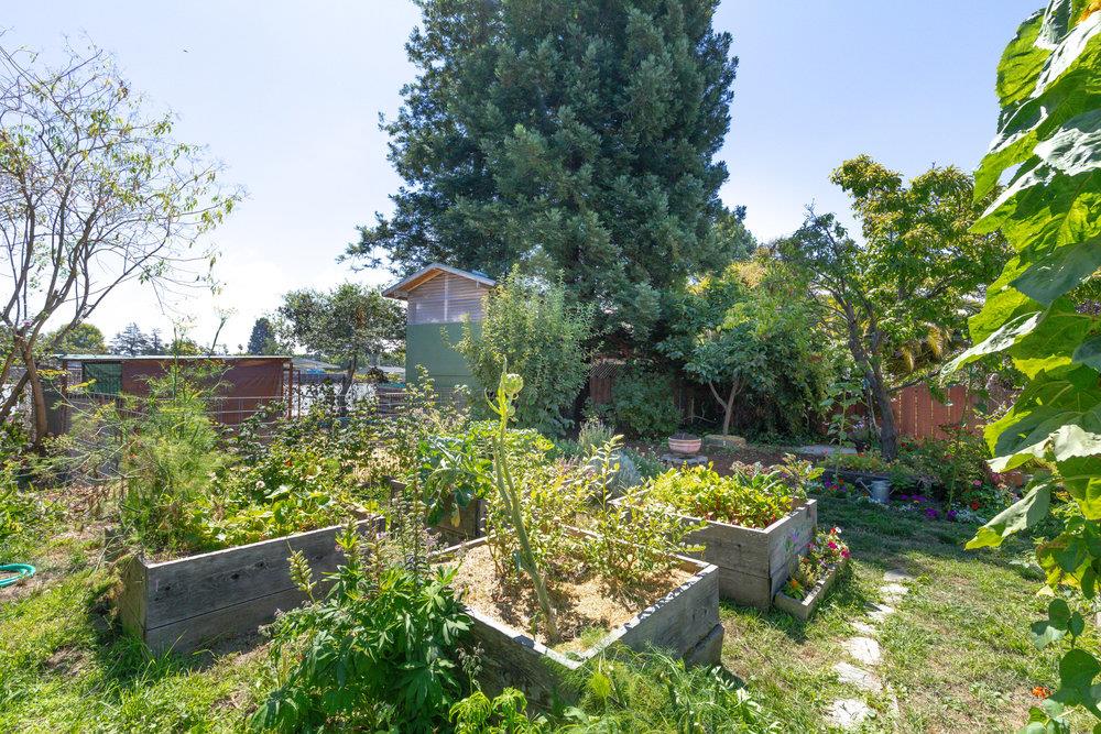 Detail Gallery Image 37 of 44 For 328 Stanford Ave, Santa Cruz,  CA 95062 - 3 Beds | 2/1 Baths