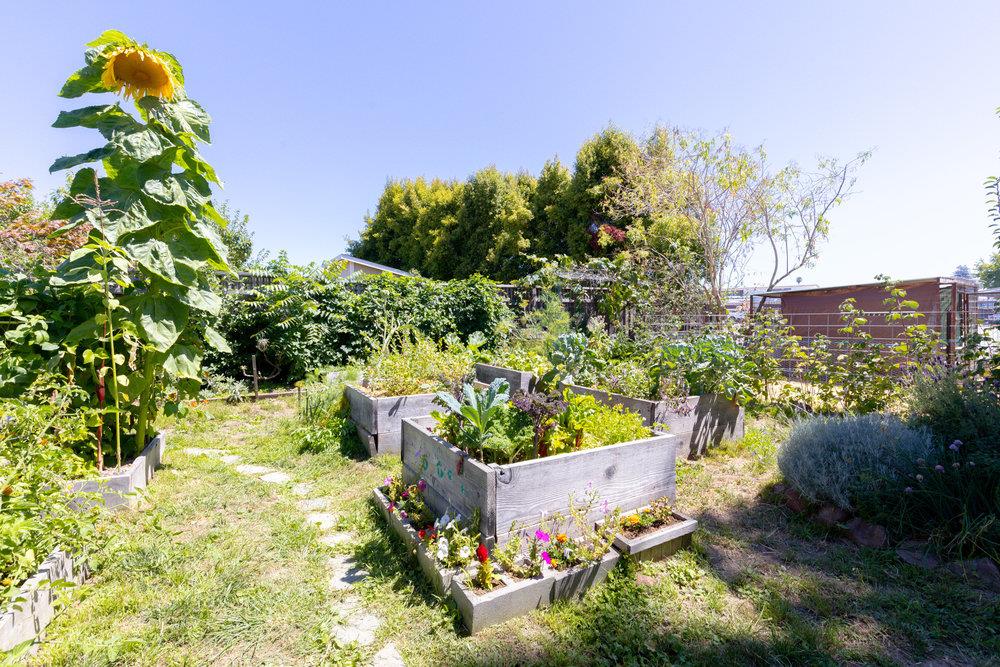 Detail Gallery Image 40 of 44 For 328 Stanford Ave, Santa Cruz,  CA 95062 - 3 Beds | 2/1 Baths