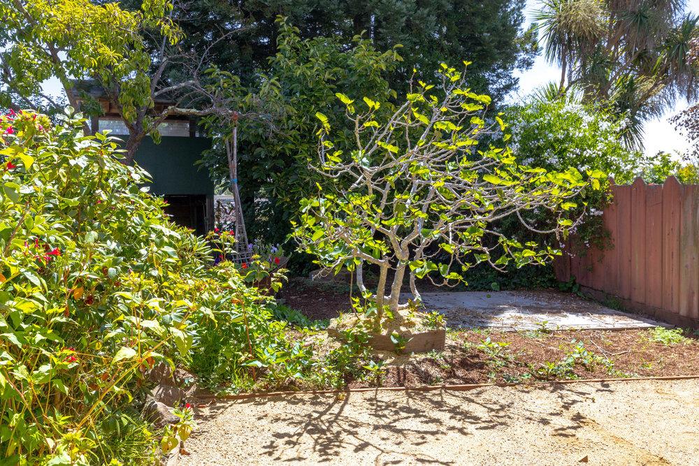 Detail Gallery Image 44 of 44 For 328 Stanford Ave, Santa Cruz,  CA 95062 - 3 Beds | 2/1 Baths