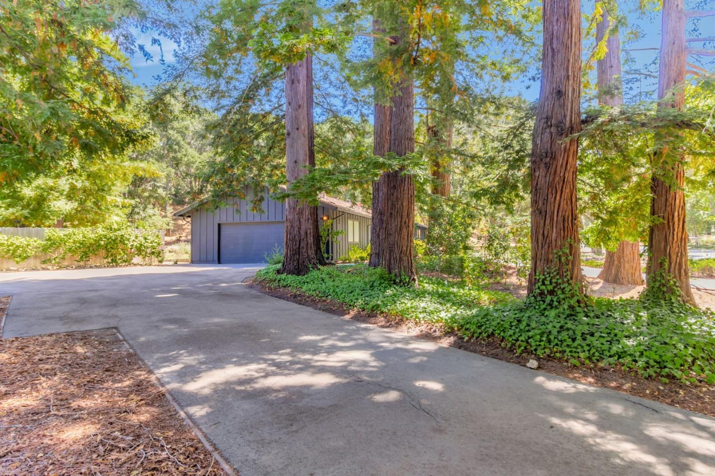 Detail Gallery Image 57 of 66 For 240 Willowbrook Dr, Portola Valley,  CA 94028 - 4 Beds | 2/1 Baths