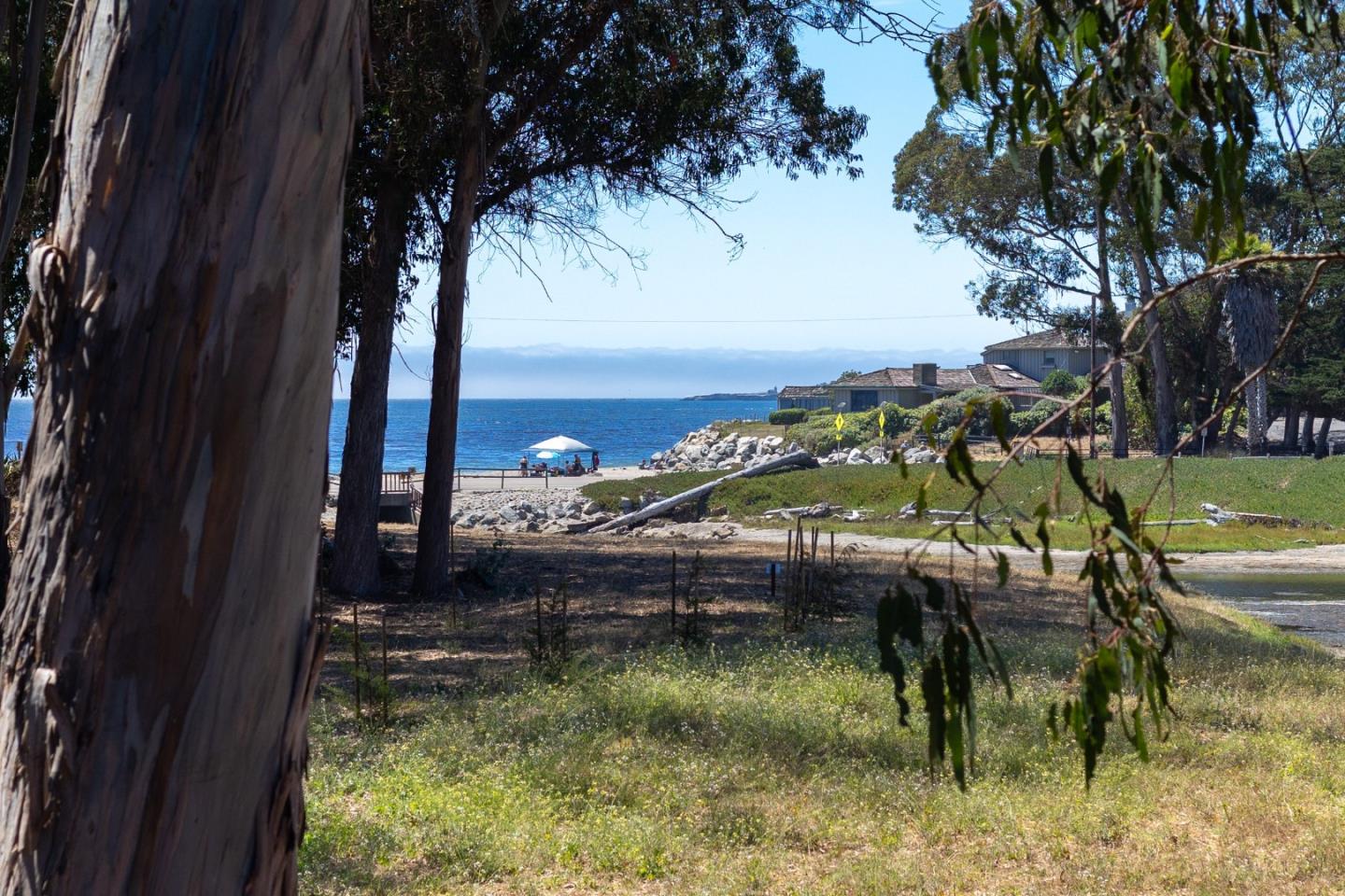 Detail Gallery Image 4 of 13 For 125 Moran Way, Santa Cruz,  CA 95062 - 3 Beds | 2 Baths
