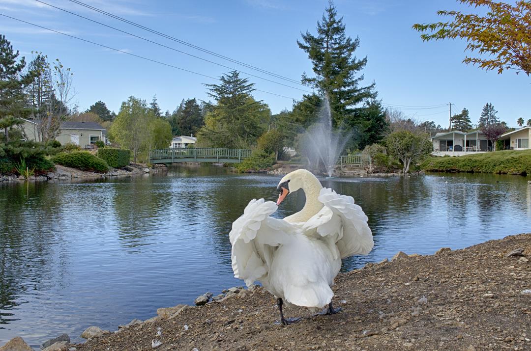 Detail Gallery Image 26 of 49 For 225 Mount Hermon #164,  Scotts Valley,  CA 95066 - 2 Beds | 2 Baths